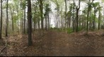 Dairy Bush GigaPan - 140 - May 02 2012
