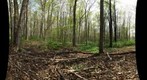 120503 - Practicing GigaPans in the Dairy Bush 1