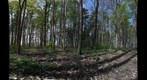 120503 - Practicing GigaPans in the Dairy Bush 2
