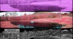 Infrared Vegetation Analysis