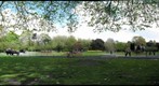 St Stephens Green