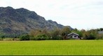Chaam Mountain