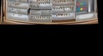 Sciomyzidae 2