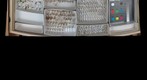 Sciomyzidae 3 & Sepsidae