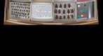 Tabanidae 18