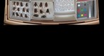 Tabanidae 19