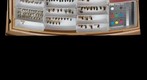 Stratiomyidae 3