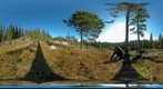 Moose hunter