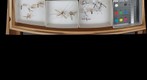 Tipulidae Receiving 3