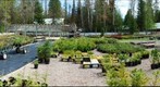 Native Plant Nursery_spring