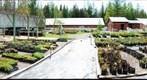 native plant nursery 2