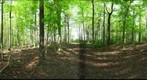 Dairy Bush GigaPan - 141 - May 09 2012 