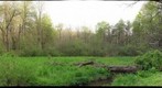 Lake Terra Alta Inlet