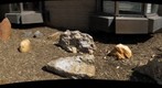 The nascent NOVA Annandale rock garden, as of May 2012