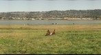 Caesar Chavez Park, Berkeley, CA