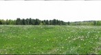 Spring in Vermont