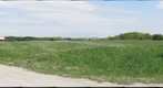 Open field in VT