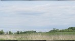 Vergennes, VT