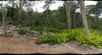 ChipperPlotPhotoPoint2