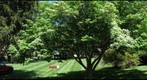 Stifel Center Lawn Before Summer Kickoff