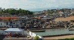 View from Elmina Castle