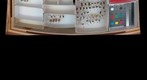 Andrenidae 16