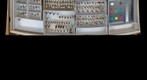 Halictidae Receiving 1