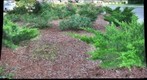 GigaPan taken by students Barboursville Middle School