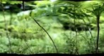 focus test
