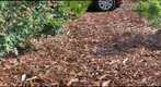 GigaPan taken by Barboursville Middle School Students