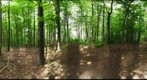 Dairy Bush GigaPan - 142 - May 16 2012 
