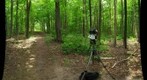 120516 - Practicing GigaPans in the Dairy Bush 3
