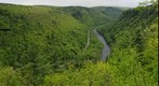 Pine creek view
