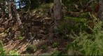 Holzfiguren Neder