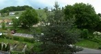 Vineyard behind the house