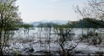 Fantastic forest lake Hibara2/5