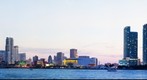Miami Skyline