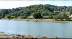 Mt Tam and Corte Madera Creek