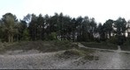 Treskerby Woods
