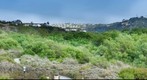 San Elijo Lagoon 5