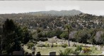 Fernwood 1