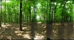 Dairy Bush GigaPan - 143 - May 23 2012