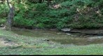 Carter Caves 