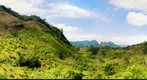 Sierra teapaneca