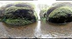 Oneonta Gorge