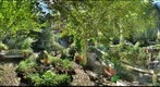 Community Garden