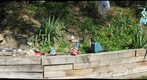 JITH's October yard