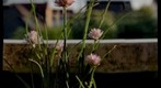 Macro Test II