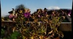 Macro Test III