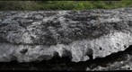 Mississipian reef 3 - parallel to bedding plane